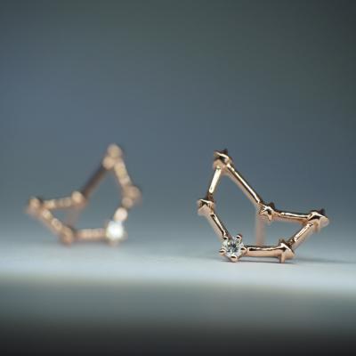 Capricorn ．摩羯座